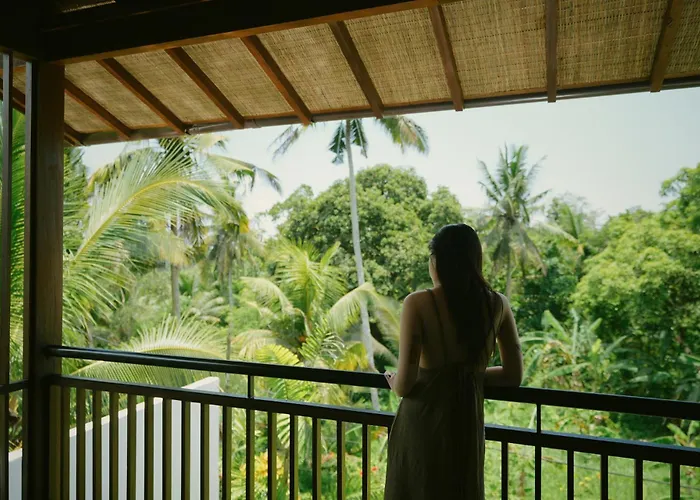 Shibumi - Where Zen Meets Paradise