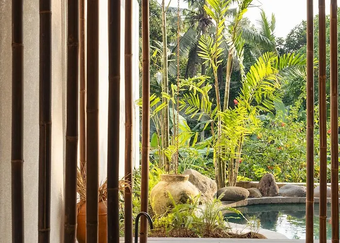 Shibumi - Where Zen Meets Paradise * 乌布