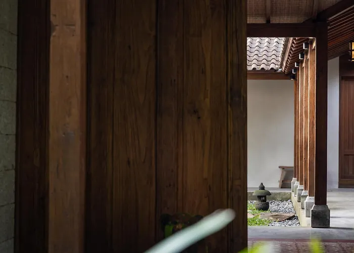 Shibumi - Where Zen Meets Paradise *
