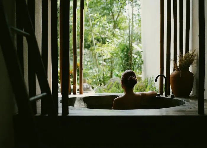 Shibumi - Where Zen Meets Paradise * 乌布